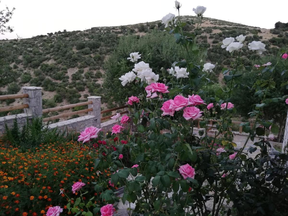 Villa Agno - Βίλα Αγνώ Ano Karies Exterior photo